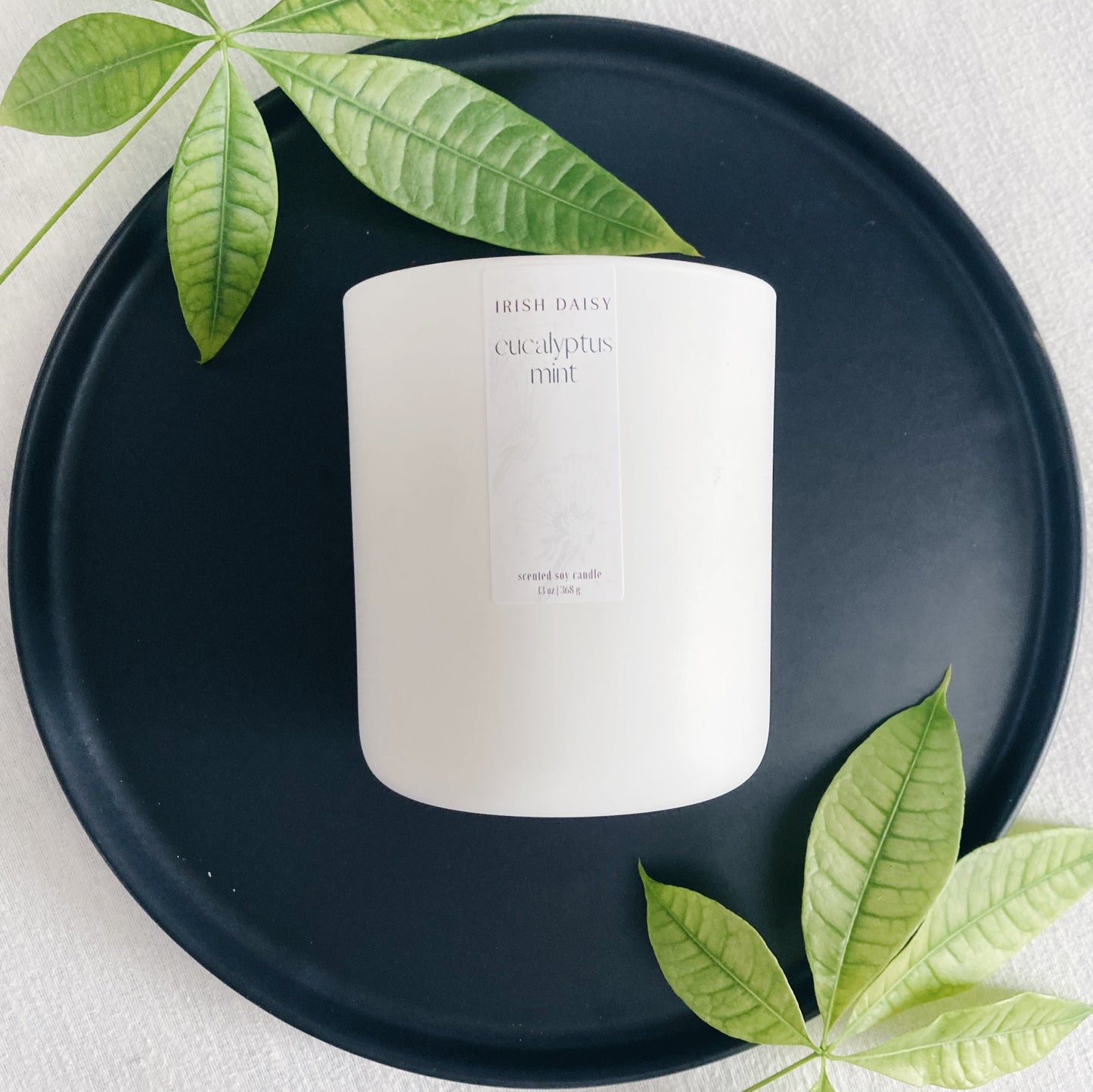 Eucalyptus Mint Soy Candle WS