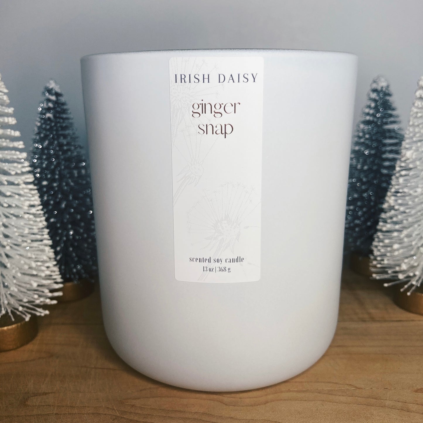 Ginger Snap Soy Candle WS