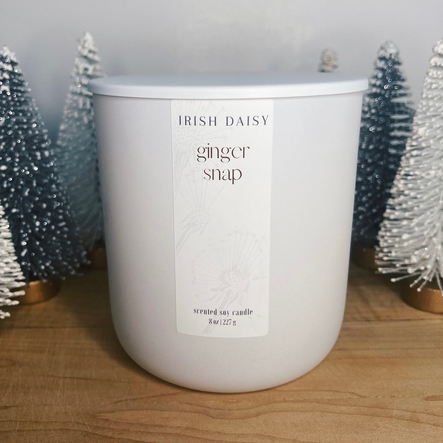 Ginger Snap Soy Candle WS