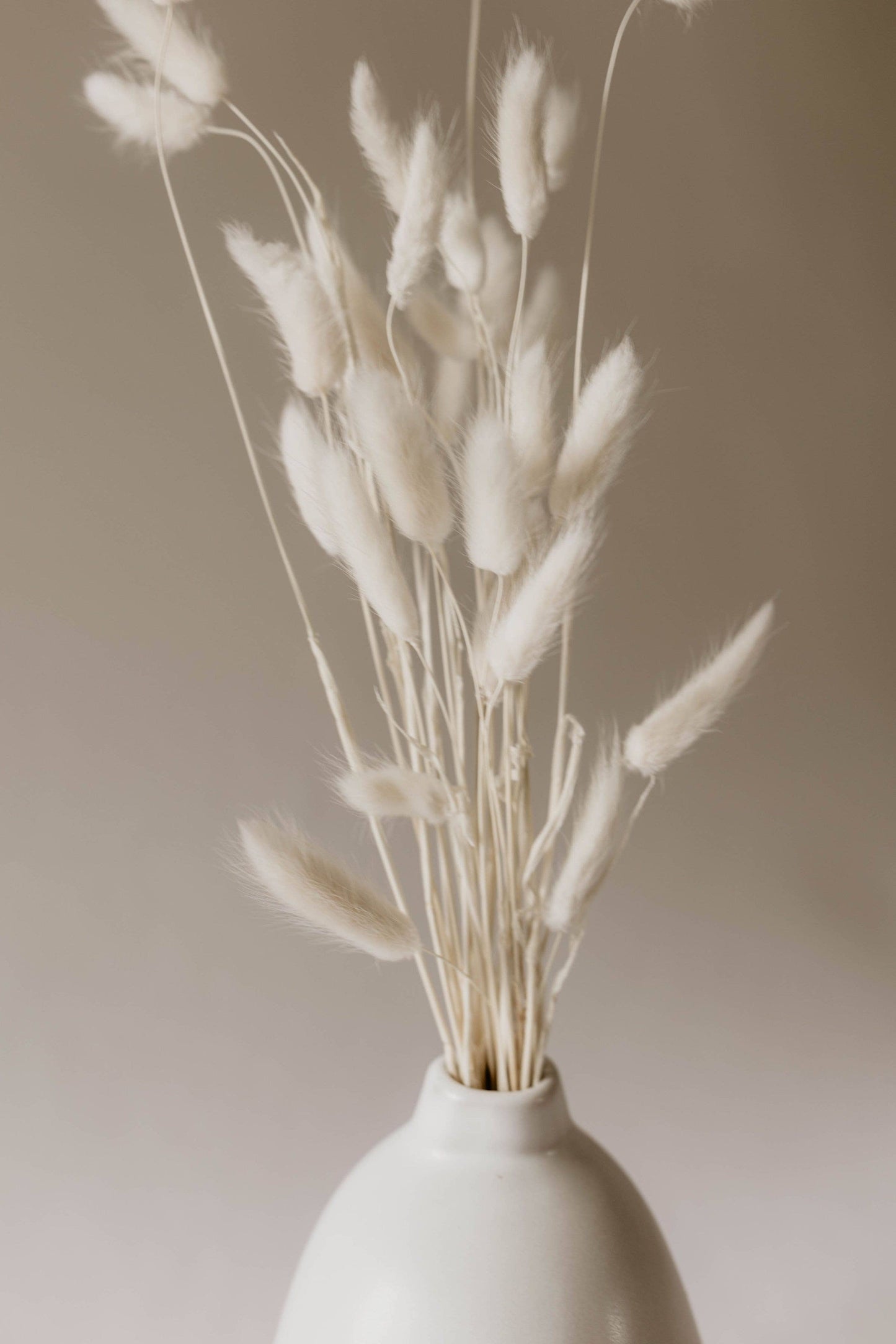 Bunny Tails
